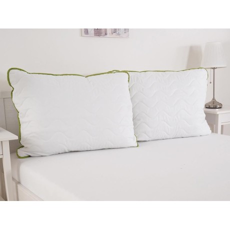 Polštář Bella Standard Aloe Vera - 70x90